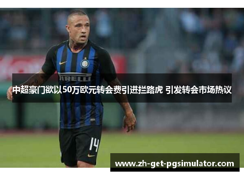 中超豪门欲以50万欧元转会费引进拦路虎 引发转会市场热议