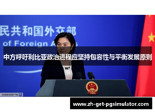 中方呼吁利比亚政治进程应坚持包容性与平衡发展原则