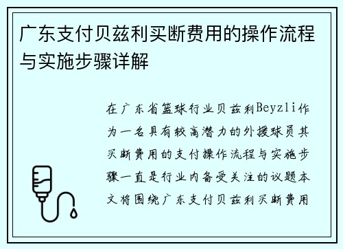 广东支付贝兹利买断费用的操作流程与实施步骤详解