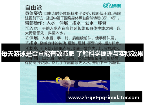 每天游泳是否真能有效减肥 了解科学原理与实际效果