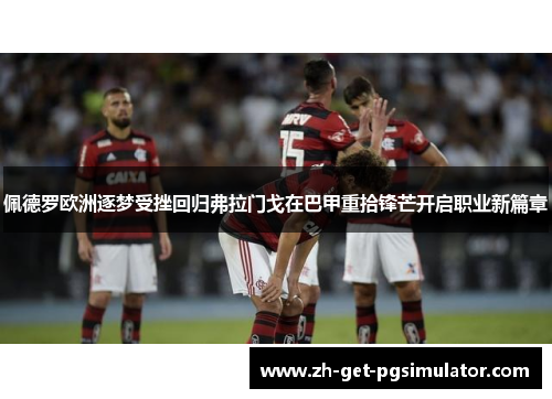 佩德罗欧洲逐梦受挫回归弗拉门戈在巴甲重拾锋芒开启职业新篇章 佩德罗欧洲逐梦受挫回归弗拉门戈在巴甲重拾锋芒开启职业新篇章