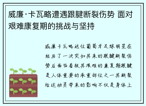 威廉·卡瓦略遭遇跟腱断裂伤势 面对艰难康复期的挑战与坚持 威廉·卡瓦略遭遇跟腱断裂伤势 面对艰难康复期的挑战与坚持